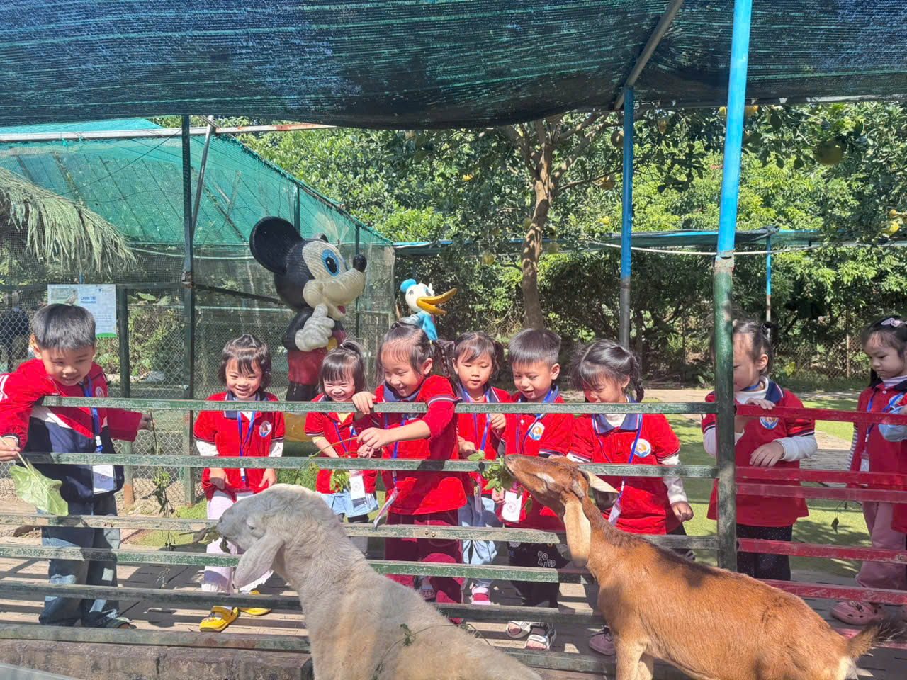 z7267134693938 4f5085deafde93fb5a1f7bbe0fd5a709