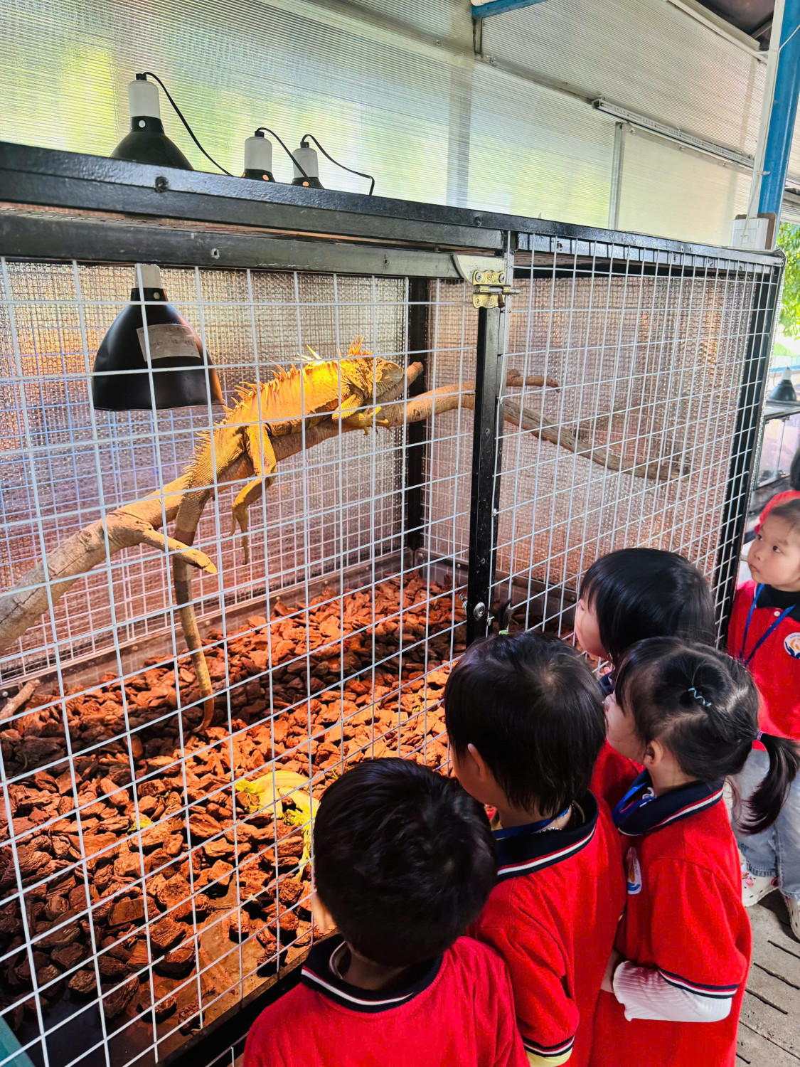 z7270118969381 527dd0ab5090581a10be9beb6ac2b419