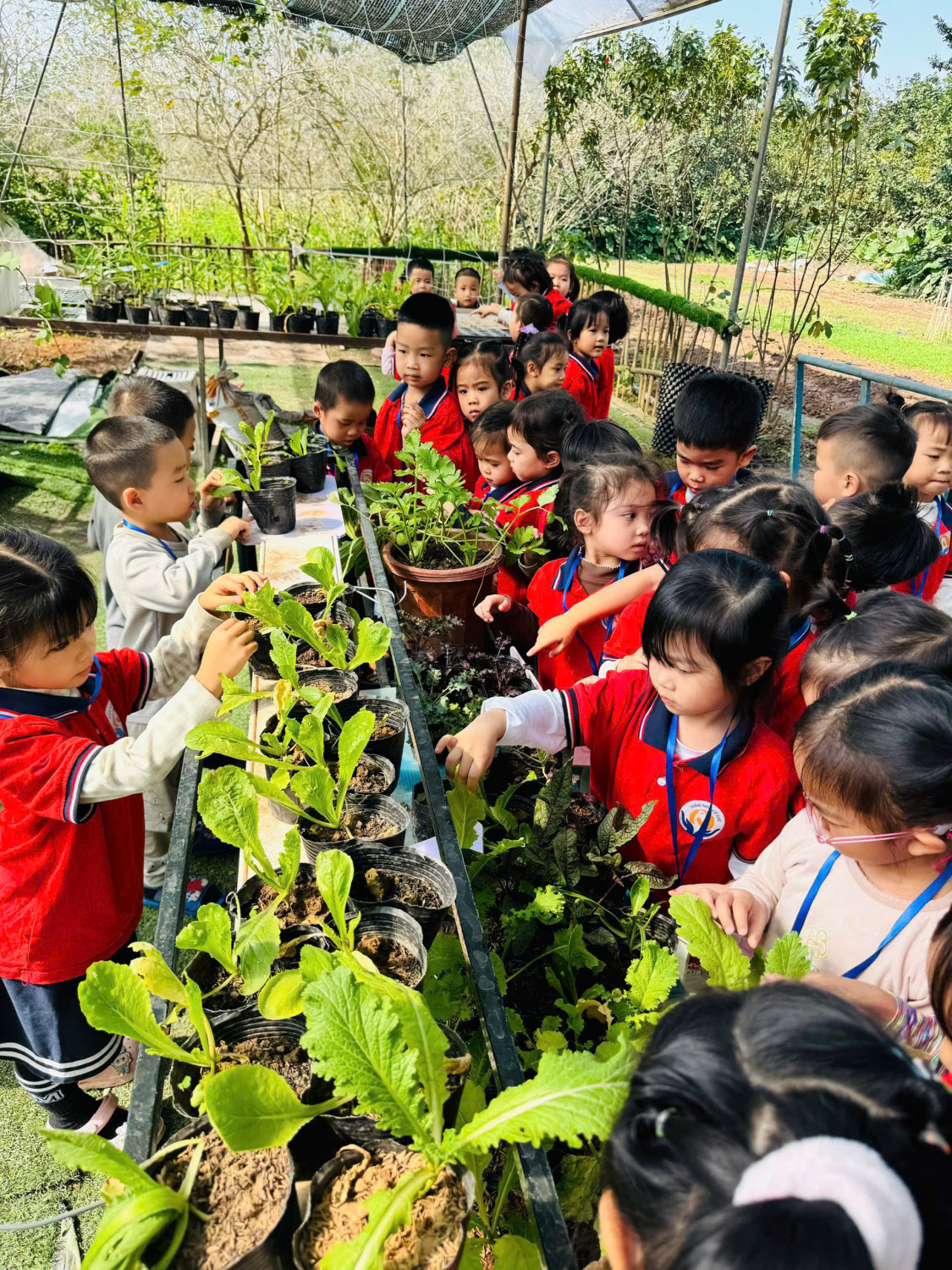 z7270118969465 5dda064fbcbf0bf71cf94a3e2f943f07