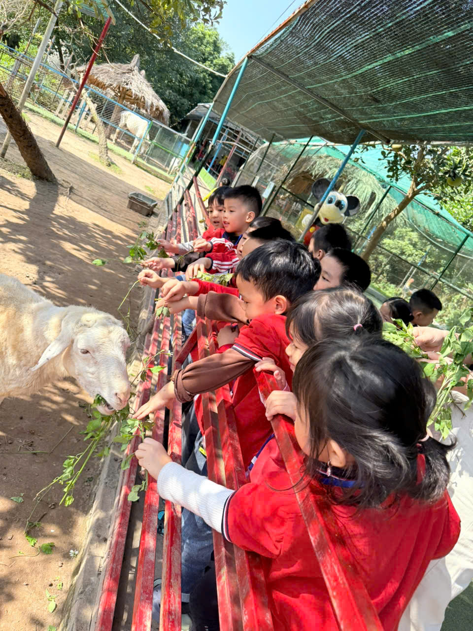 z7270270265719 aab181f7c925c9a4a3eceeffb6e74980