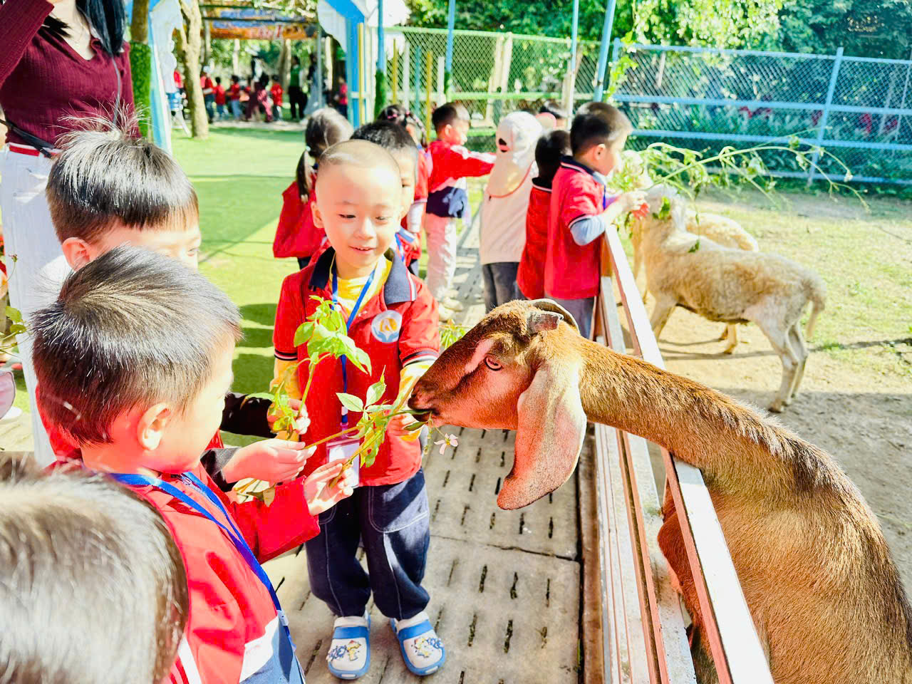 z7270392117651 42ecaf2308f814f0d7773f7ea609fde0