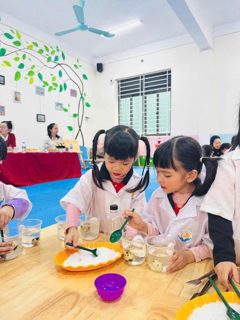 z7315795435276 eee3119101640d6dce93970311764fff