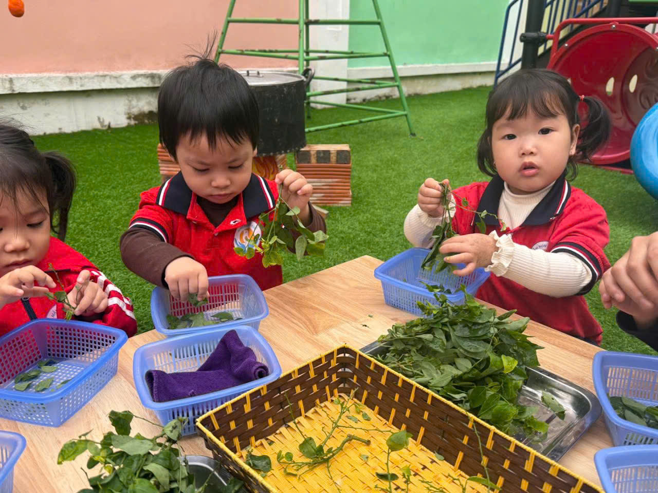 gen h z7456398113552 d708d312bfe10f611fb0f46b7b59d3d4