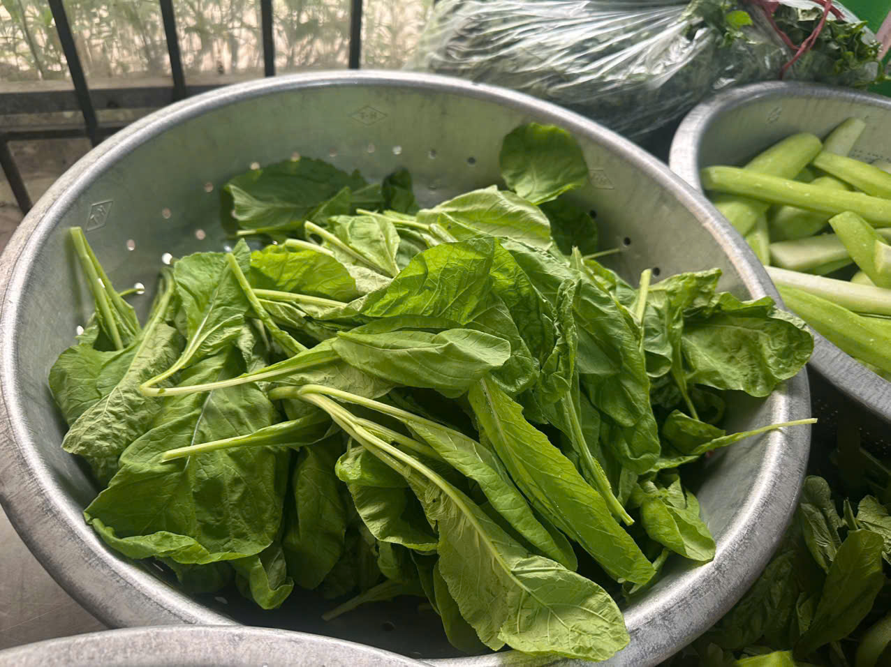 z7730185177180 f8c2006f549a1008875917c6d0f7cc5e