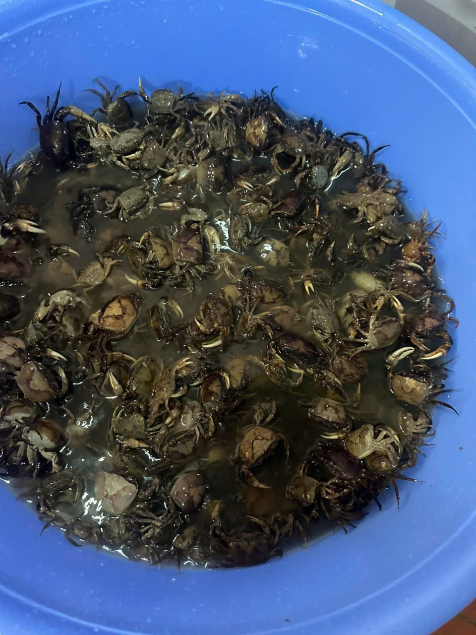 z7730185198885 cdec79aa1f30157cc9274bffc8b3bf9f