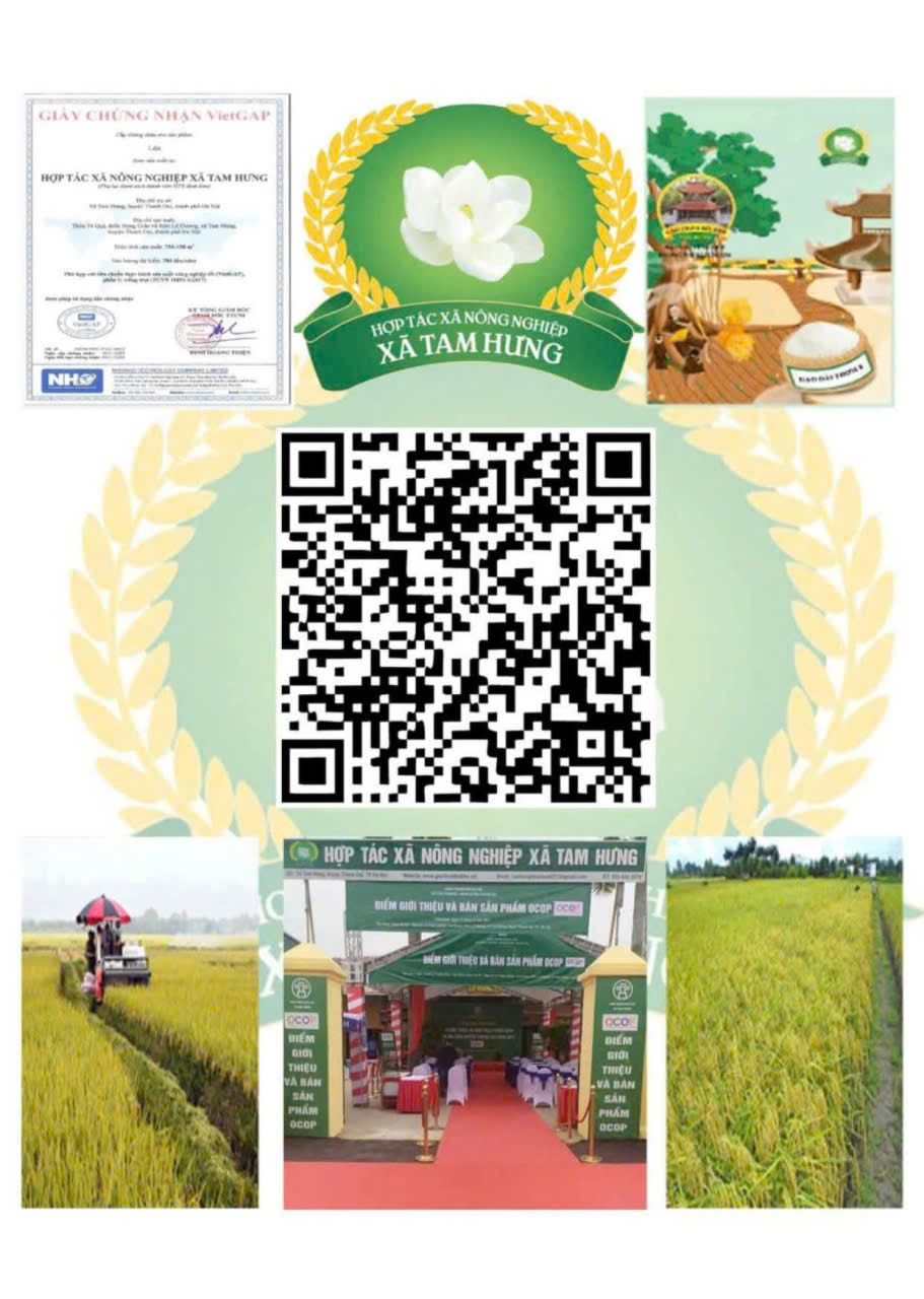 z7730185203572 551ae4ab5a9efeda4f8f433486fd60a2